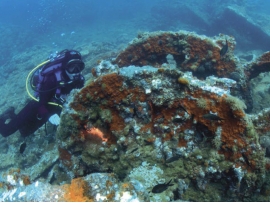 Isole Tremiti, un museo subacqueo per scoprire la “Storia sotto il mare" Isole Tremiti, un museo subacqueo per scoprire la “Storia sotto il mare"